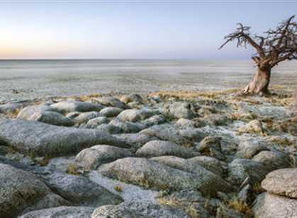 Makgadikgadi & Nxai Pan National Parks